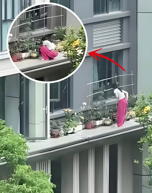 531540340_784354277451368_6869493971679736597_n