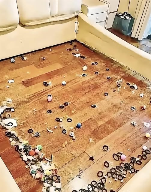 531884427_642209318913017_7840836881834467396_n