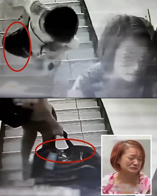 534677657_790785156808280_4612640053537428058_n