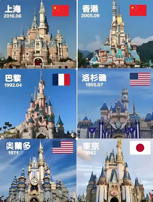 535834752_1366955248135814_3578026528758105303_n