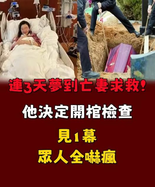 536275666_1368488414649164_6534032063955779801_n