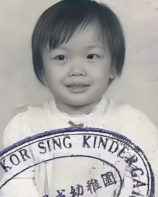 537374359_1373133567517982_5871527061209687423_n