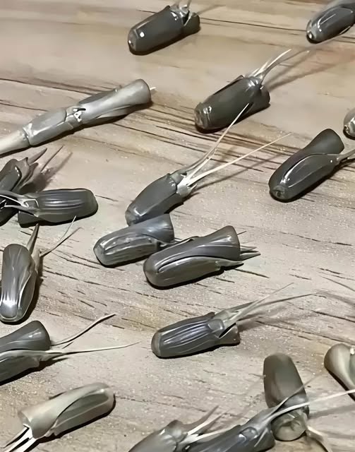 537530248_1370574194440586_422003580135877742_n