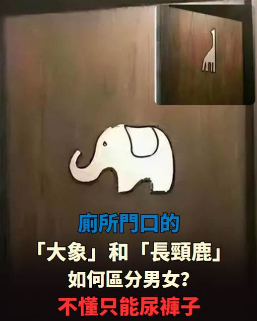 537744363_1370208327810506_5823053074087640564_n