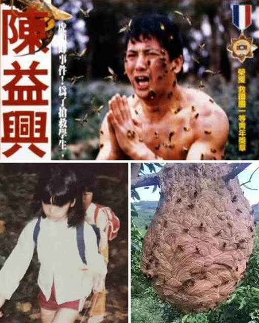 538251928_1373123070852365_5766949681005913031_n