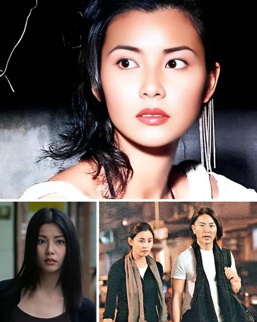 538632761_794811689738960_71104133162025478_n