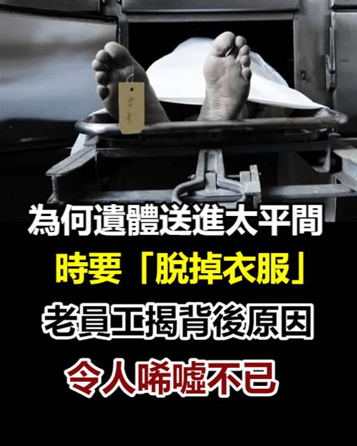 538924600_1373725537458785_1242960093198913904_n