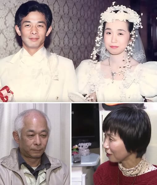 539437099_1374753917355947_5712765083356892401_n