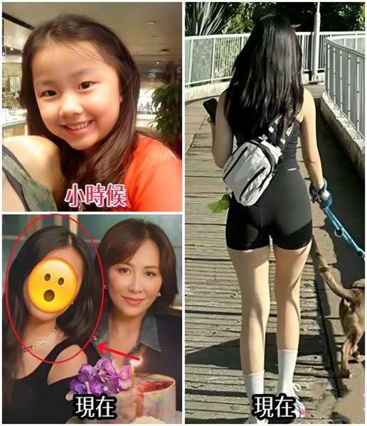 536272884_1205051191659867_6921123659026954353_n