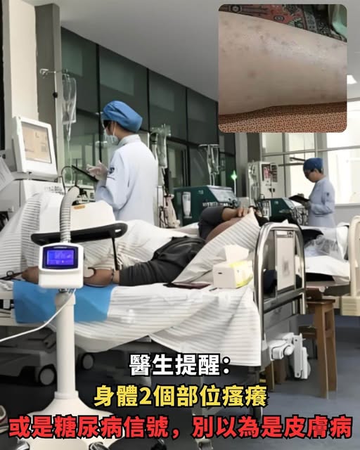 540477857_1378783780286294_6807901356950445454_n