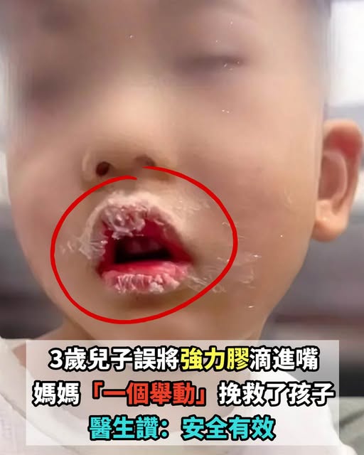 540768446_1378851256946213_7519194639276213370_n