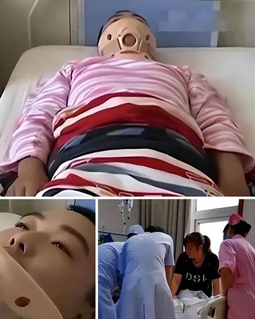 541426982_798021176084678_5618256613329818617_n