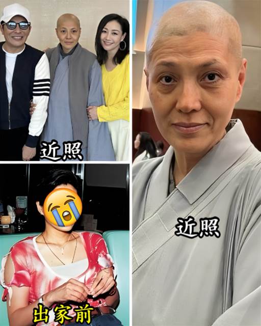 543413752_1383011293196876_6351316258161989437_n