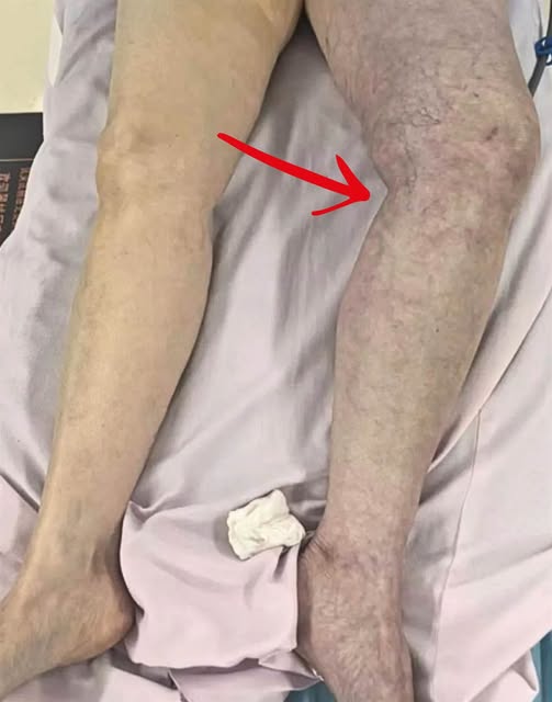 544611163_1381981103299895_3730187899904903677_n