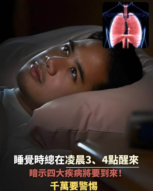 544634852_1383483339816338_7871410698087856420_n