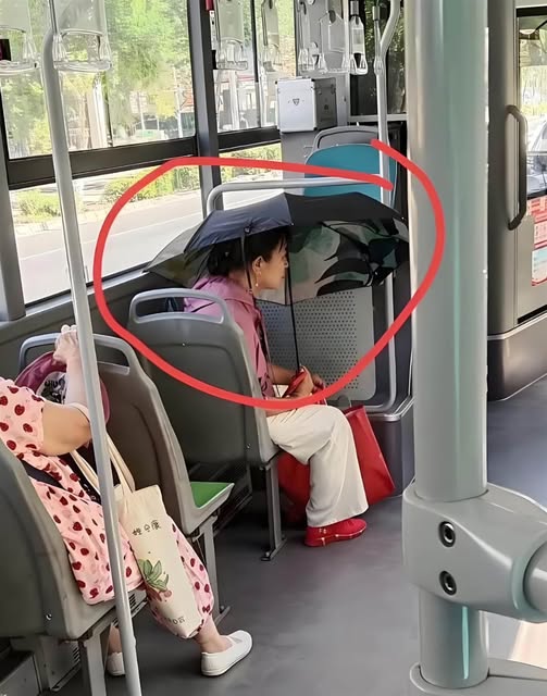 544787478_1382799239884748_1145768772149980825_n