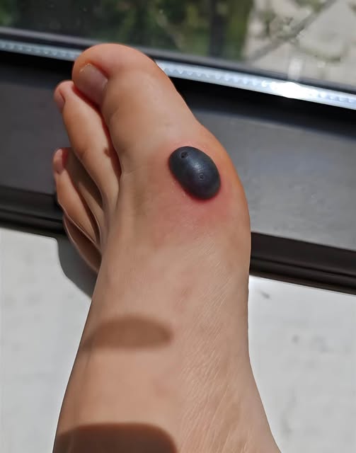 545391736_1383410819823590_1767677189393801380_n