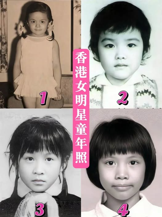 548323569_812094428010686_8535313140935197186_n