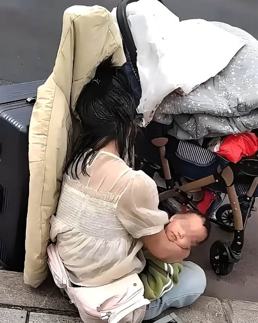 553425564_1395998855231453_8875189898511834793_n