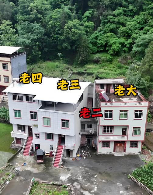 555728740_1400927821405223_1728256695195429929_n