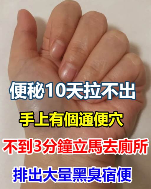 556425072_1137713821822807_1064557570669582758_n