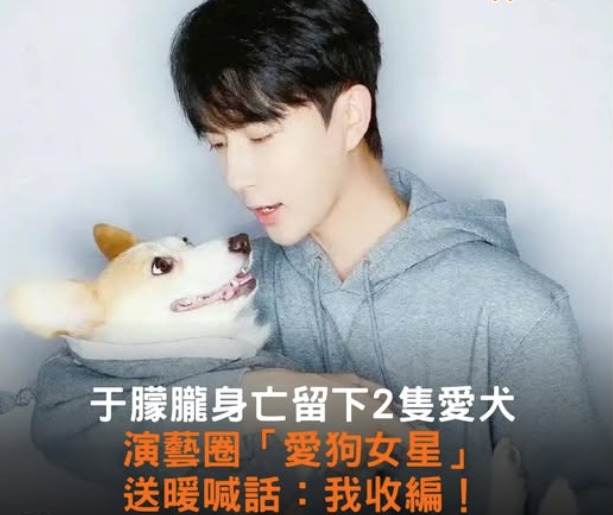 WhatsApp Image 2025-09-20 at 12.30.09 PM