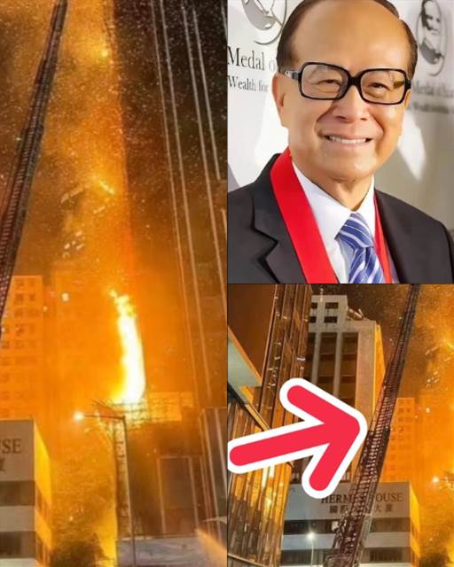 588255375_1451764792988192_4276863898338850800_n