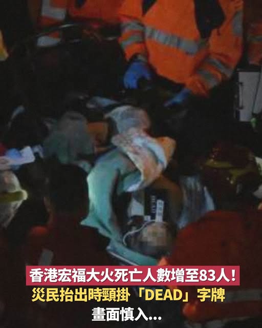 590209631_1451743192990352_8607316871664697394_n