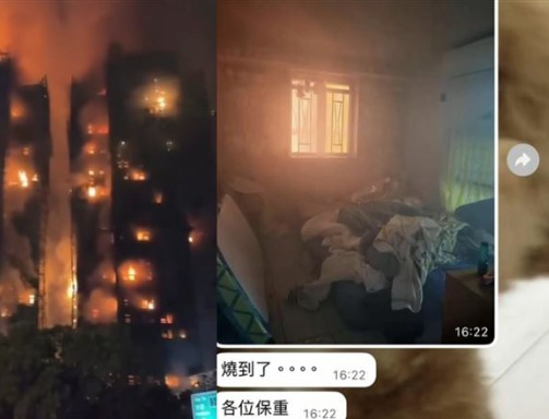 WhatsApp Image 2025-11-28 at 10.25.25 AM