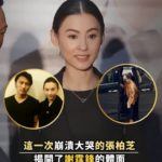 這一次,崩潰大哭的張柏芝,揭開了謝霆鋒的體面,原來向佐沒說謊