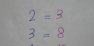 「2=3」竟是國小題?全家出動徹夜苦算,公開答案後眾人無語:把家長「當猴耍」