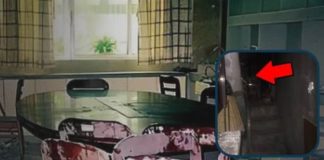 女博士在家中失蹤7年,丈夫苦尋無果,直到裝修房子時發現地下密道,進入後丈夫當場驚呆!