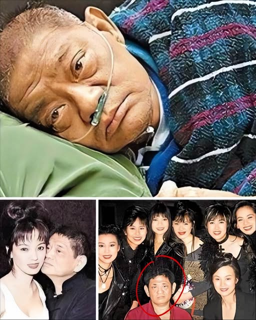 617878153_1280415207467634_4622531959106730695_n