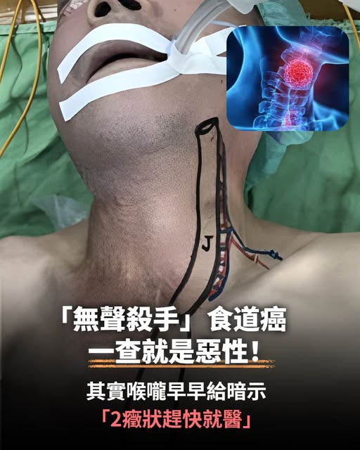 618133683_772660892543052_2454843402697501311_n