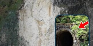 臺中失蹤13年的女交警,突然出現在廢棄隧道裡,真相公開令人震驚…