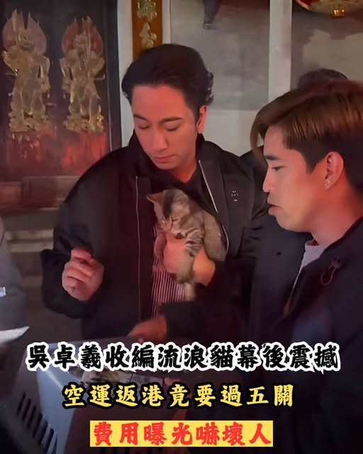 622347048_1239846978239102_7908502163928851992_n