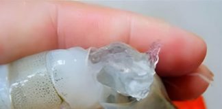 剛買回家!他煮蝦子當晚餐「撥開蝦頭傻眼」嚇立刻報警,警察:幸好沒吃!