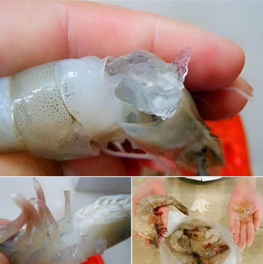 632230638_1511366950361309_4468418434381098974_n