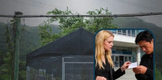 香港51歲養蜂人,娶22歲俄羅斯盲女,新婚當晚,讓人意想不到事發生了!