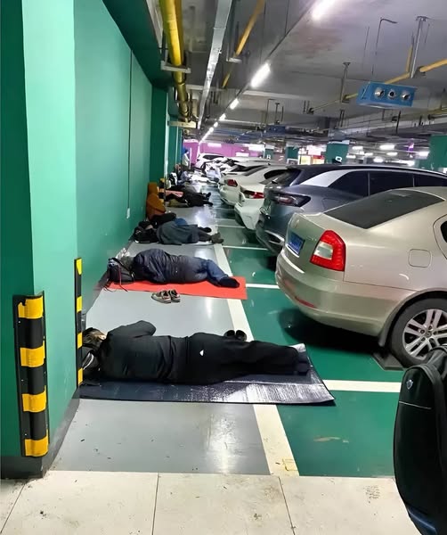 639628707_1515344686630202_486195140062331259_n