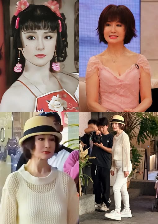 650293172_1652602832645757_2782745096387034991_n