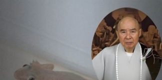 家中出現壁虎是兇是吉?淨空老法師:這不是迷信,是命運轉變的驚人訊號!