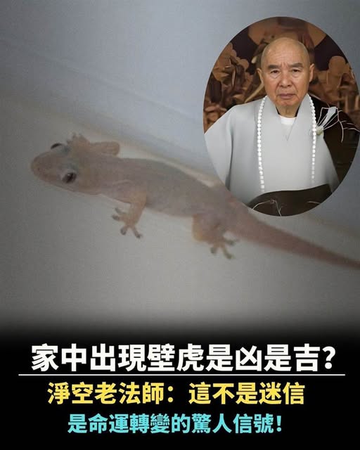 651243909_1535213634643307_458648592265830370_n