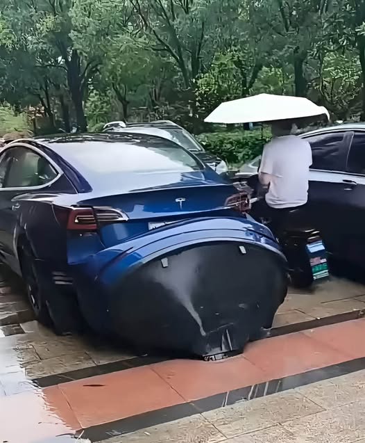 651340884_1535089617989042_6312085936947064655_n