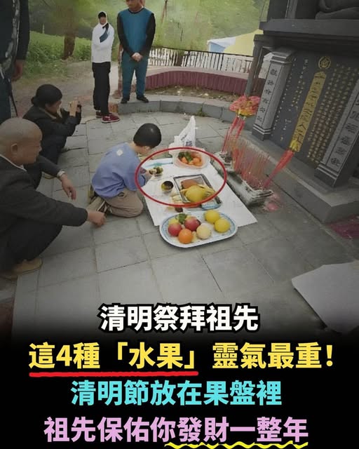 651752584_1536863281145009_8795652452387443602_n