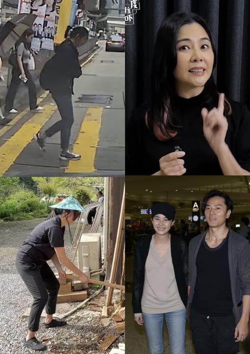 653394092_1654893899083317_5891165132954679991_n