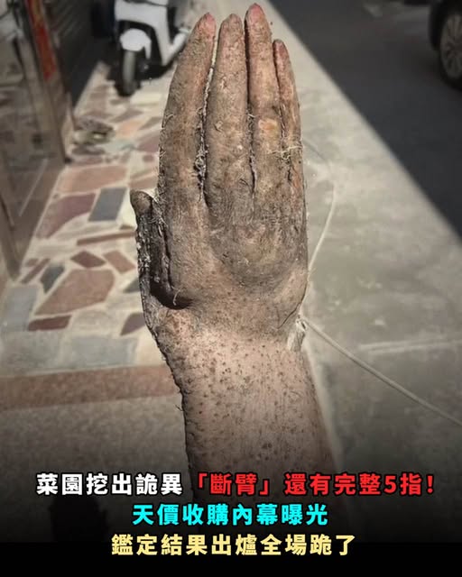 655980391_1539600040871333_2844974344698699241_n