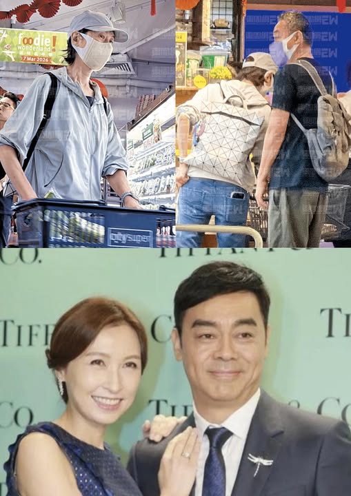 658833167_1667815527791154_7141124512655949304_n