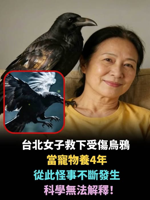 661592035_1548204010010936_5746682474835967324_n