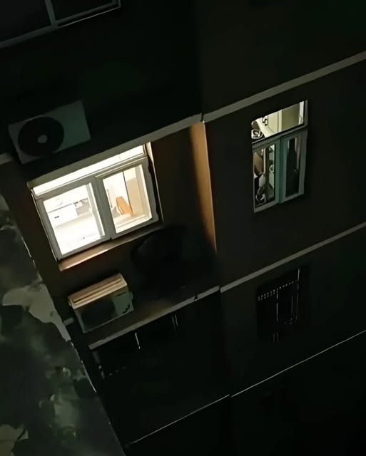 665637105_1555475112617159_374160155344391421_n